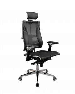 Yoga Spine Triumph L2 (M06), Черный D5.50.15.92