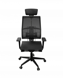 Офисное кресло Yoga Spine Black Edition, Черный 624.F.4D.A9, Арт. z509745543 в магазине 5kresel