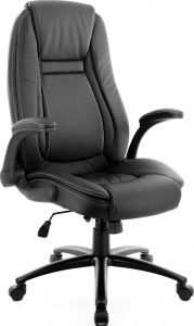 Офисное кресло Trend TM Экокожа Черный, Арт. eve4807 в магазине 5kresel